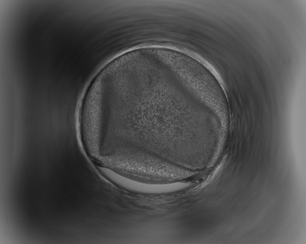X0000087581533200705181152