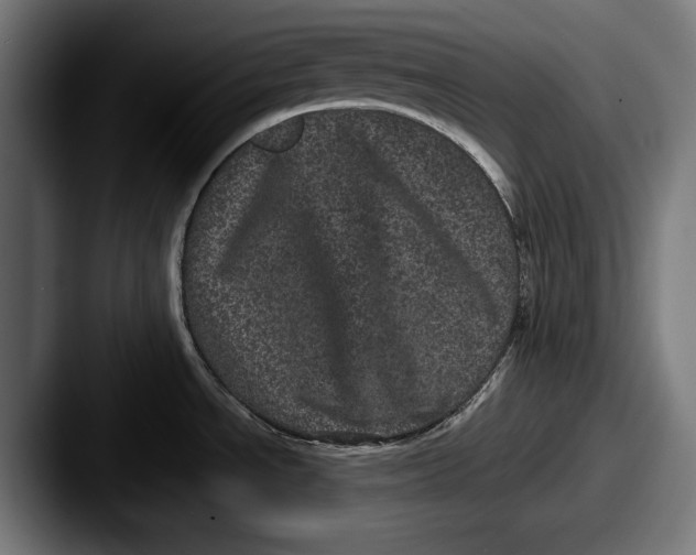 X0000087581534200705181152