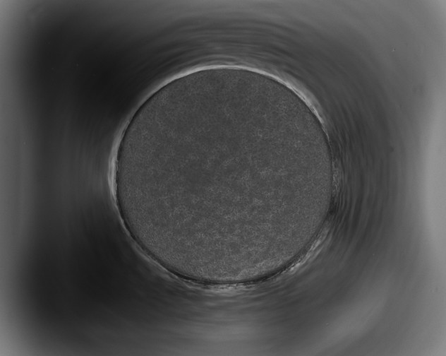 X0000087581535200705181152