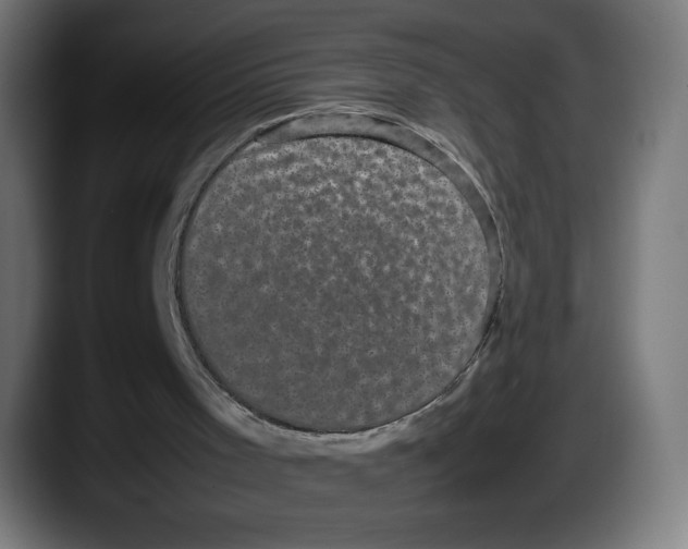X0000087580001200705251850