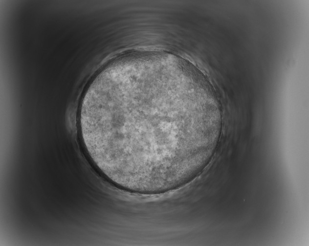 X0000087580002200705251850