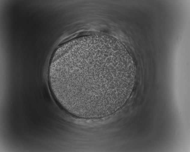 X0000087580003200705251850