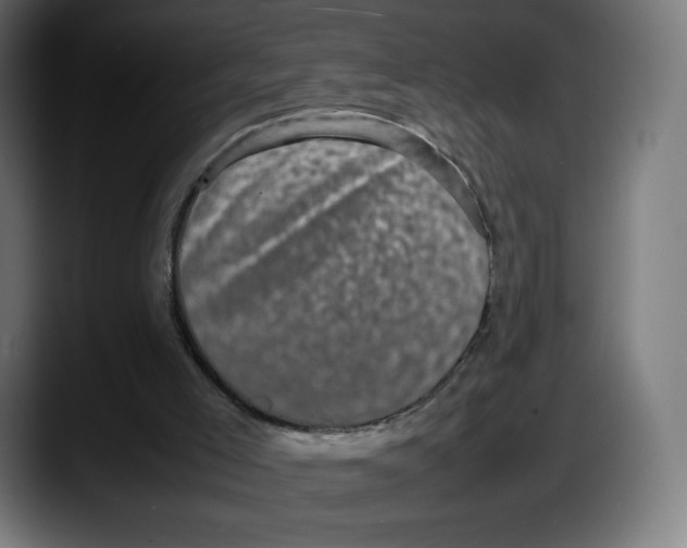 X0000087580005200705251850