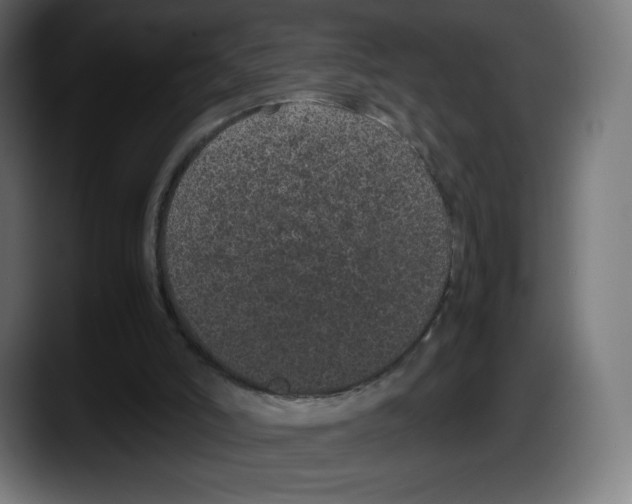 X0000087580006200705251850