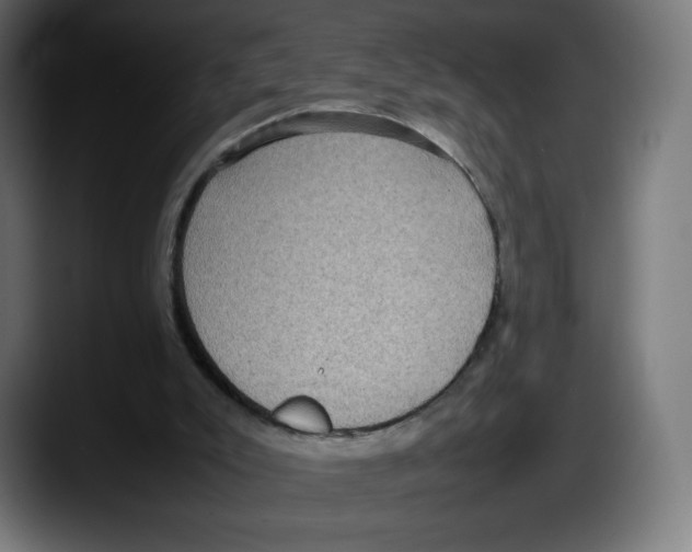 X0000087580007200705251850