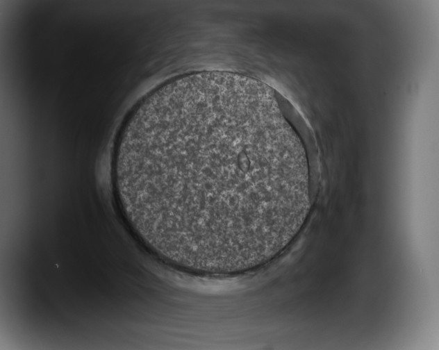 X0000087580008200705251850