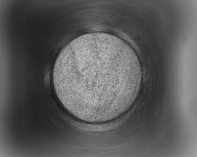 X0000087580010200705251850