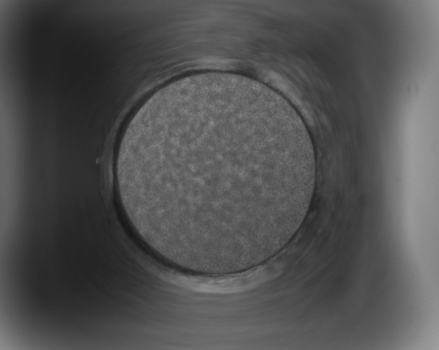 X0000087580011200705251850