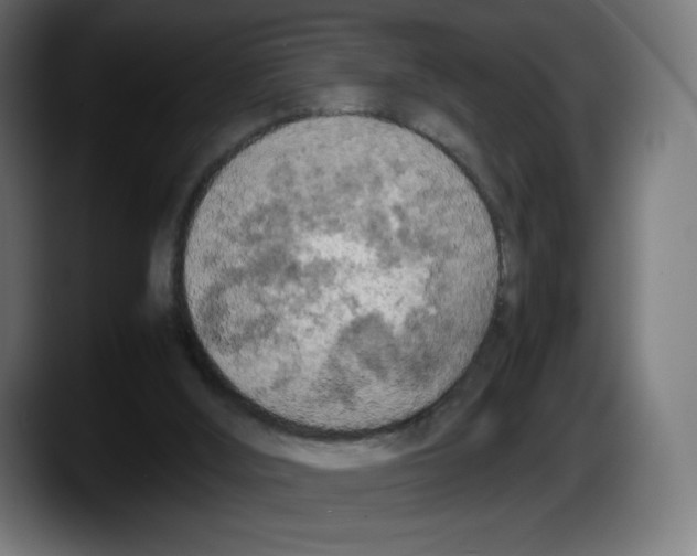 X0000087580012200705251850