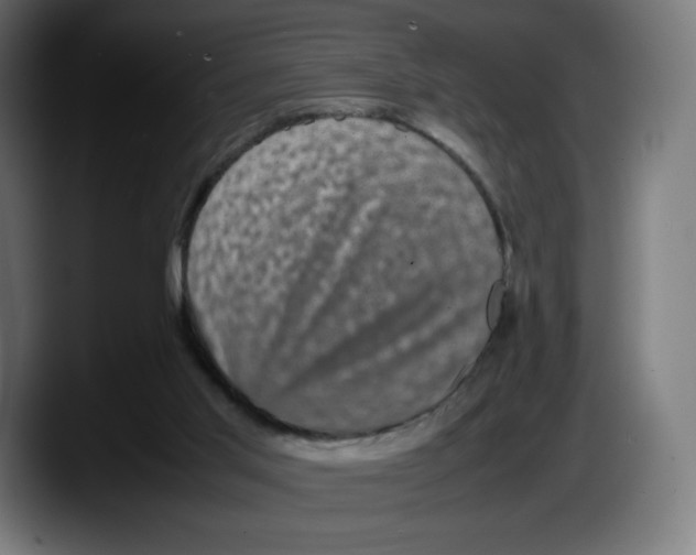 X0000087580013200705251850