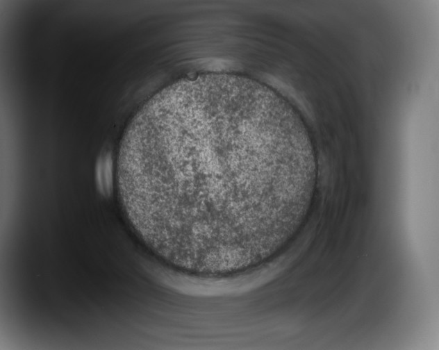 X0000087580014200705251850