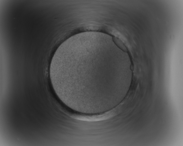X0000087580017200705251850