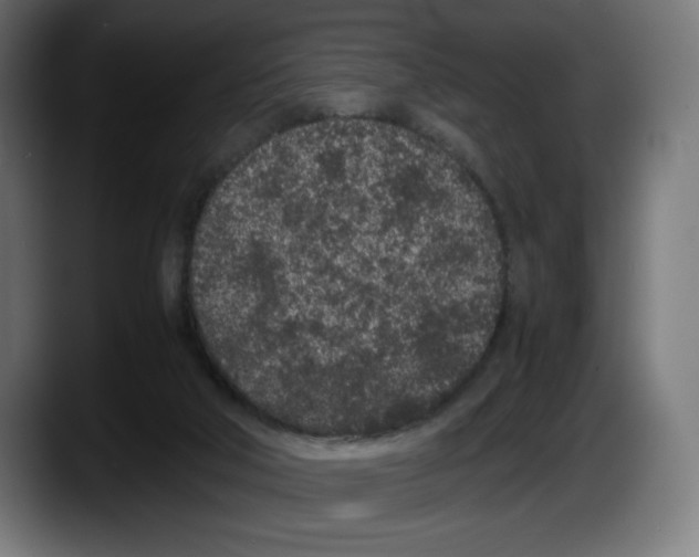 X0000087580018200705251850