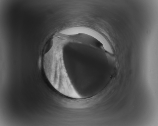 X0000087580019200705251850