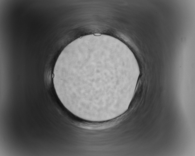 X0000087580021200705251850