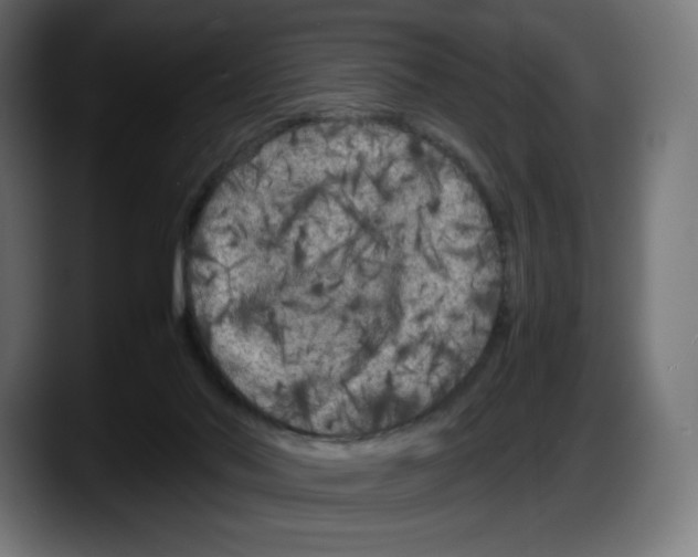 X0000087580022200705251850