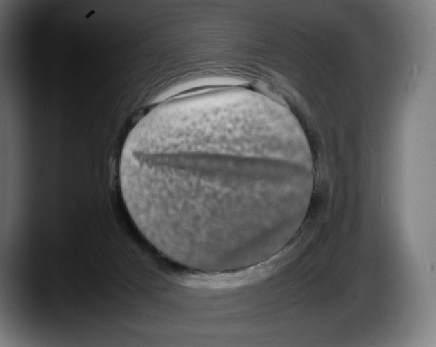 X0000087580025200705251850