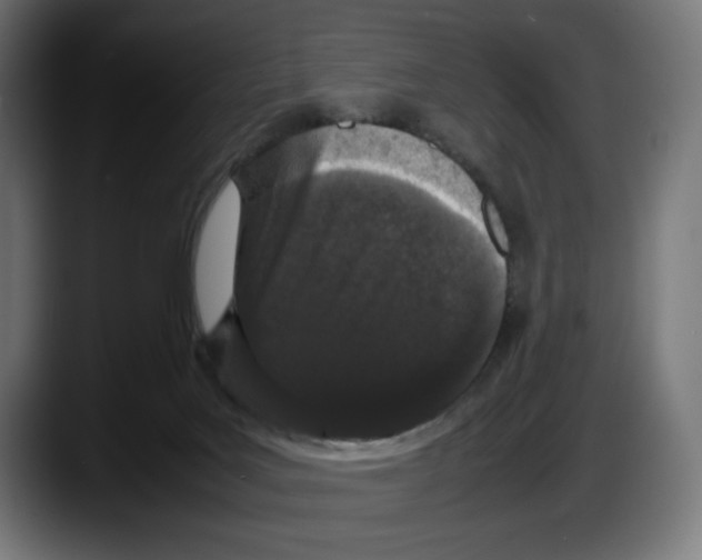 X0000087580027200705251850
