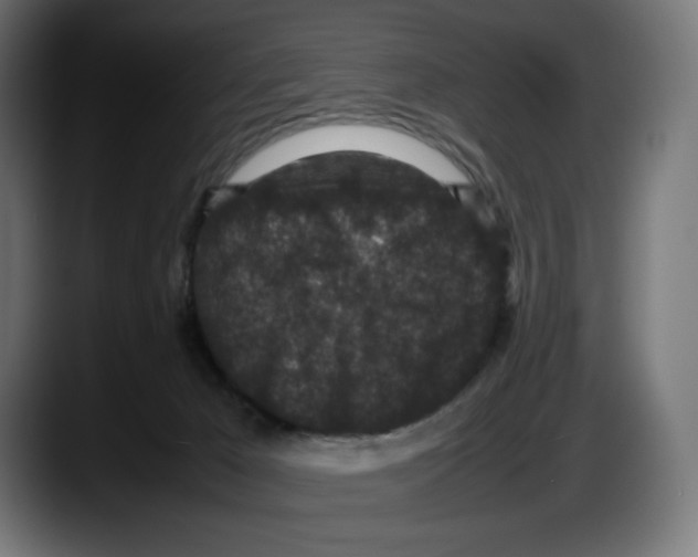 X0000087580029200705251850