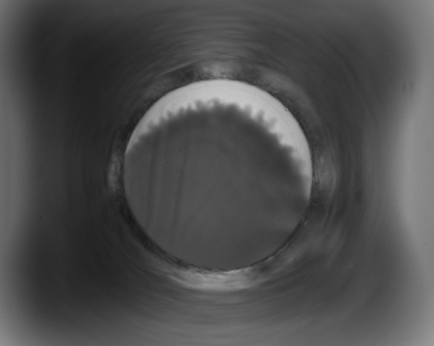 X0000087580036200705251850