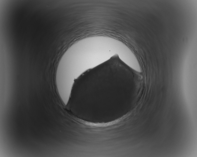 X0000087580039200705251850