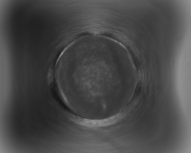 X0000087580043200705251850