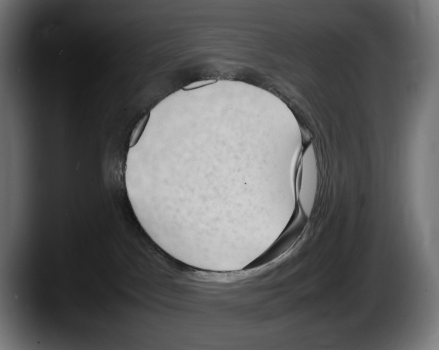X0000087580045200705251850