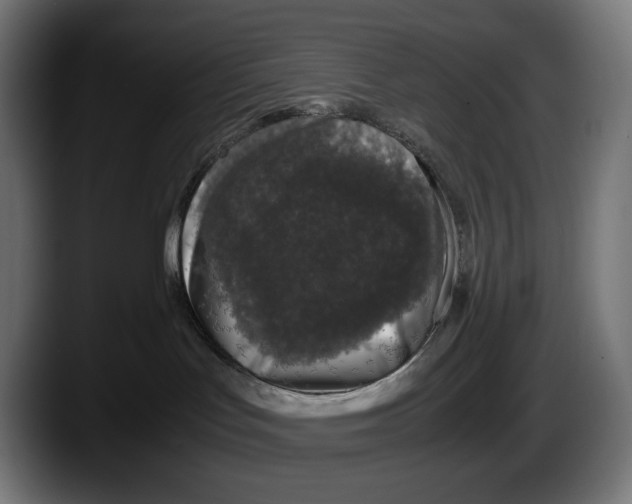 X0000087580047200705251850