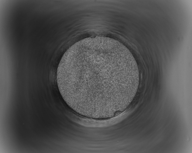 X0000087580048200705251850