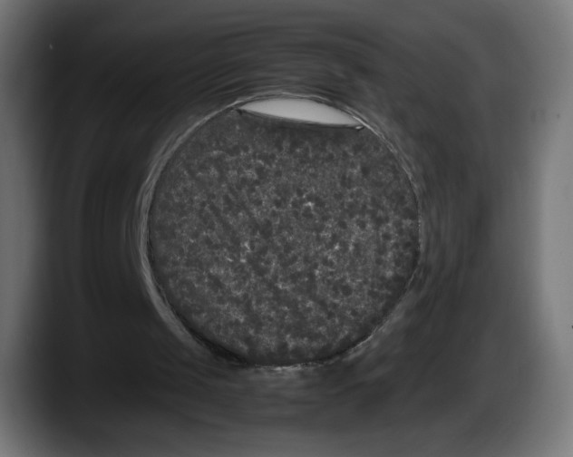 X0000087580049200705251849