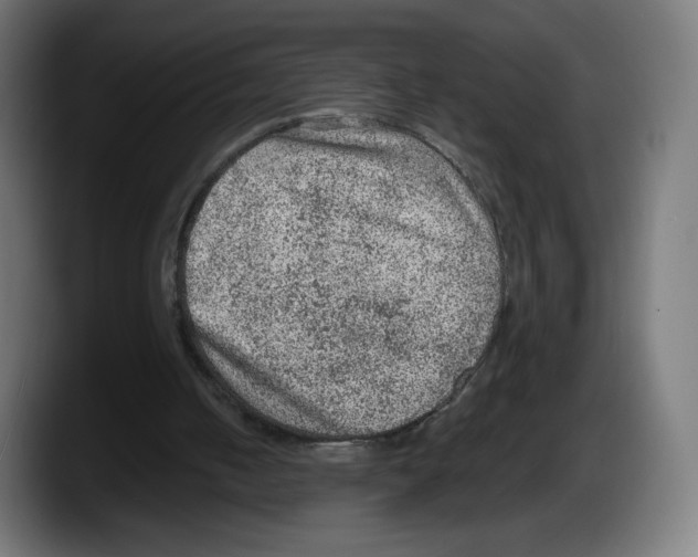 X0000087580050200705251849