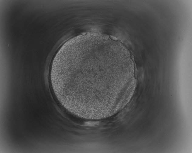 X0000087580051200705251849
