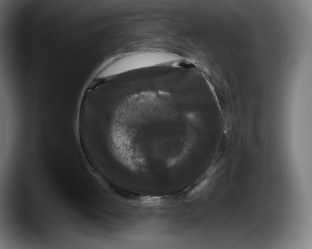 X0000087580052200705251849