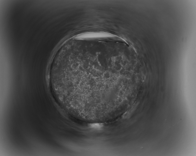 X0000087580053200705251849