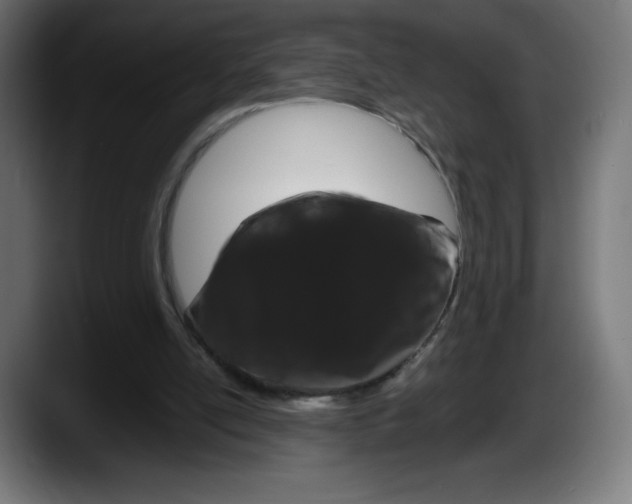 X0000087580054200705251849