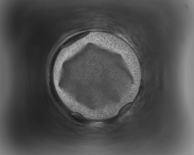 X0000087580055200705251849