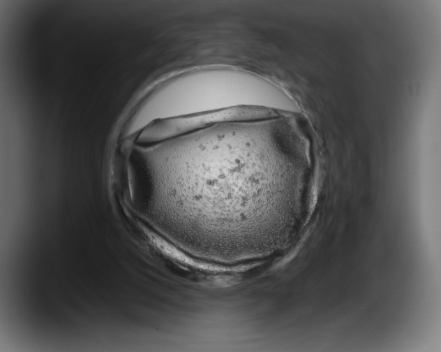 X0000087580056200705251849