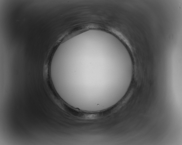 X0000087580057200705251849