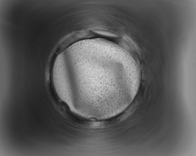 X0000087580060200705251849