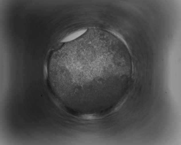 X0000087580061200705251849