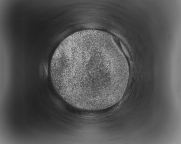 X0000087580062200705251849