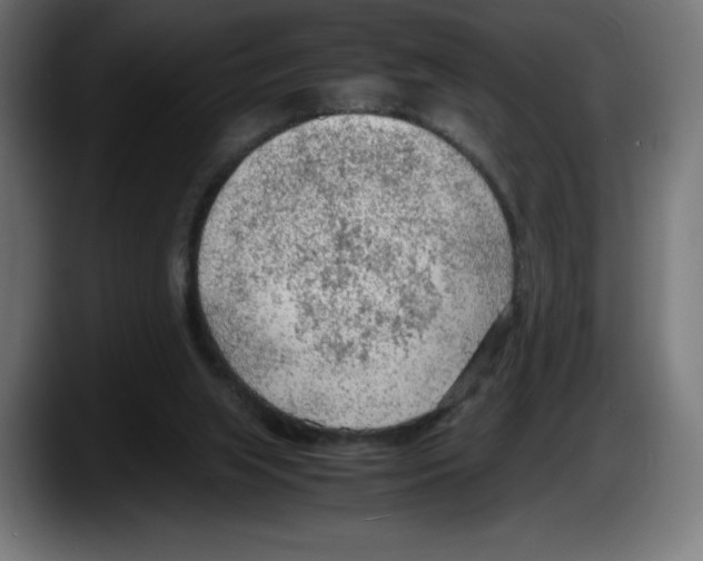 X0000087580063200705251849