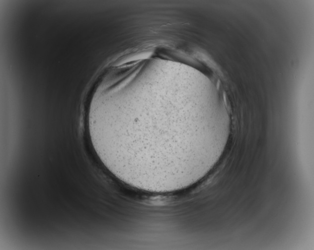 X0000087580064200705251849