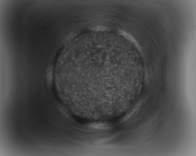 X0000087580065200705251849