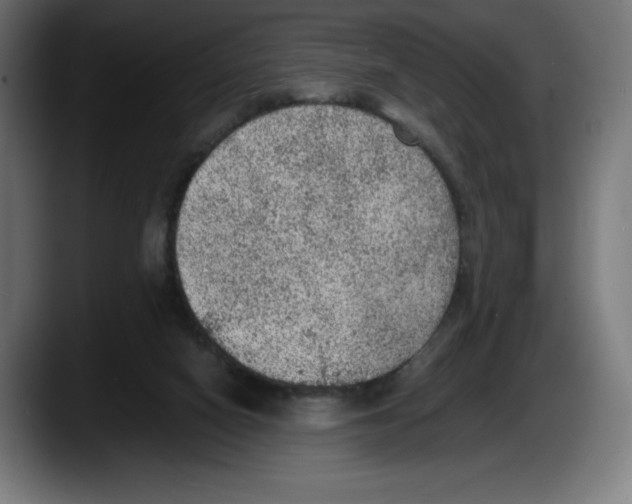 X0000087580066200705251849