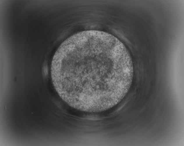 X0000087580067200705251850