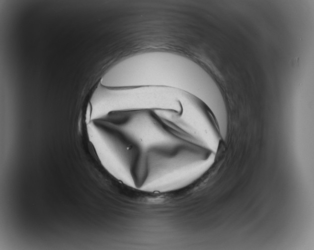 X0000087580068200705251850