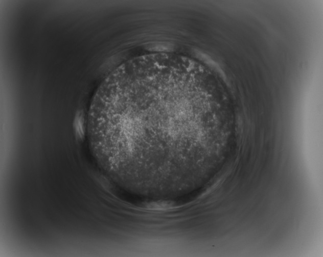 X0000087580069200705251850