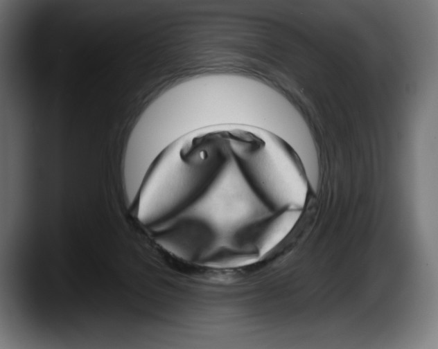 X0000087580076200705251850