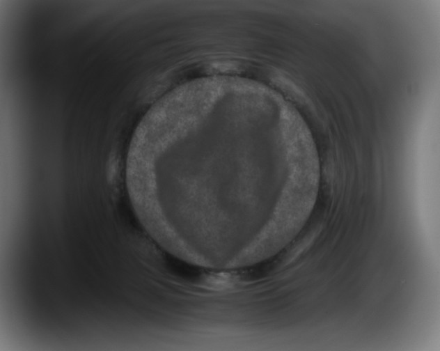 X0000087580079200705251850